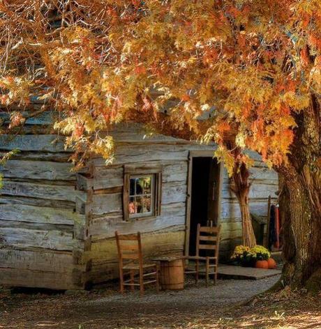 fall cabin