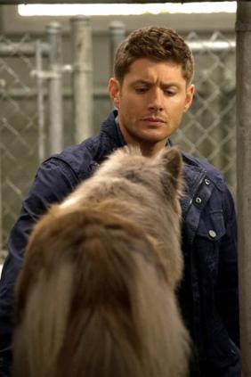 Supernatural – S09E05 « Dog Dean Afternoon » – Fiche Episode