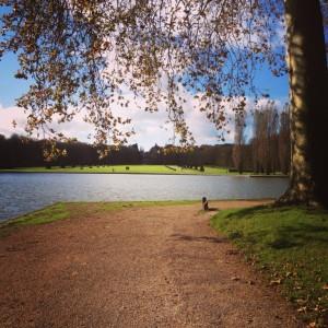 img_4670-300x300 promenade