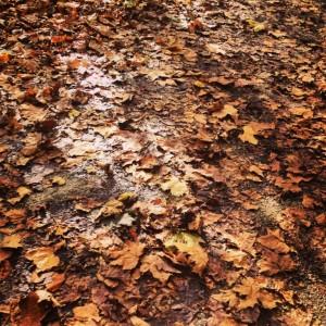 img_4686-300x300 paris