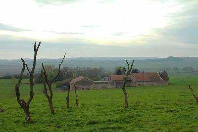 Du côté des Amance