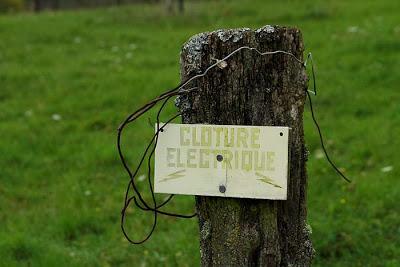 Du côté des Amance