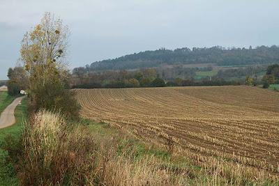 Du côté des Amance