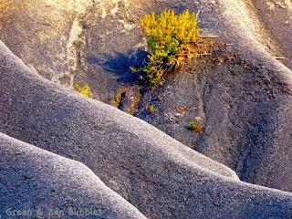 Les robines du liman