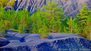 Les robines du liman