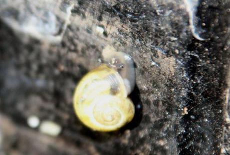 5 romi 2 nov 2013 029.jpg