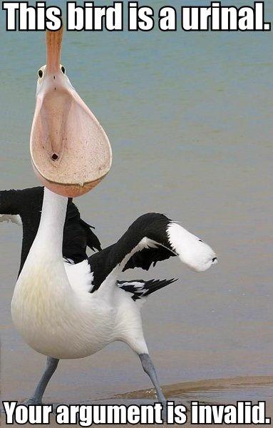 pelican-urinoire-your-argument-is-invalid.jpg