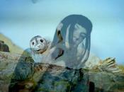 Ether&amp;Crac;! Avec novembre 2013