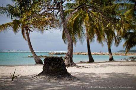 Chroniques de l'aventure guadeloupéenne #1 : côtes et plages de Chroniques de l'aventure guadeloupéenne #1 : côtes et plages de