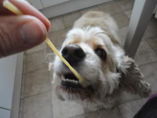 la belle et le bobard