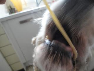 la belle et le bobard