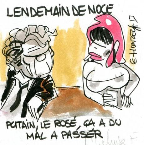 imgscan contrepoints 2013-2338 Borloo