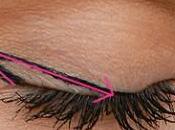 Aquarium Paris, bien plus qu’un aquarium