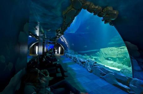 Aquarium de Paris, bien plus qu’un aquarium !