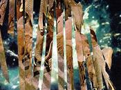 Movements Death John Hall D.Y.