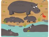 Illus jeunesses vrac