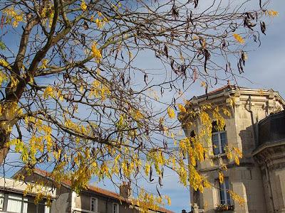 Toul et ses féviers dorés