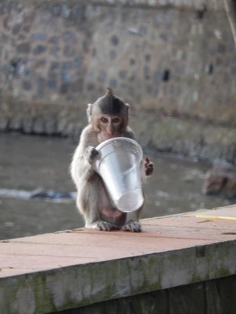 le voyage apprend la tolérance  -benjamin disraeli-