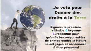 Journée internationale pour la prévention de l’exploitation de l’environnement en temps de guerre et de conflit armé