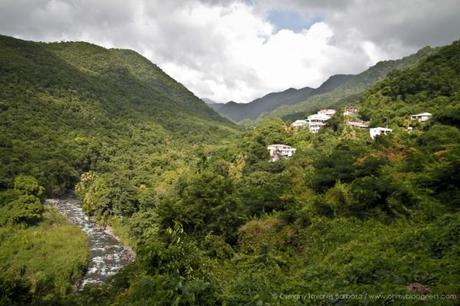 Chroniques de l'aventure guadeloupéenne #2 : Quand on quitte les côtes... gwada-132.jpg