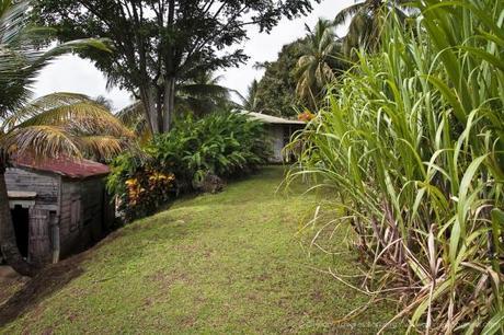 Chroniques de l'aventure guadeloupéenne #2 : Quand on quitte les côtes... gwada-153.jpg