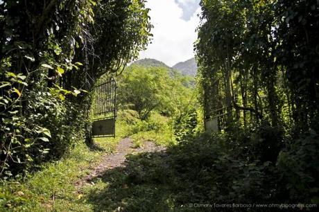 Chroniques de l'aventure guadeloupéenne #2 : Quand on quitte les côtes... gwada-108.jpg