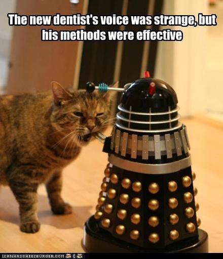 Doctor Who et les mèmes (1) funny-pictures-exterminate-all-the-plaque
