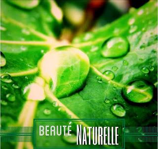 Recettes de beauté naturelles et économiques!