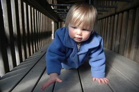 Motricité libre. « Accompagner l'enfant sur son propre chemin »