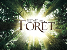 Pour première fois, forêt tropicale naitre sous yeux…