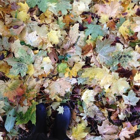 Mes p’tits bonheurs