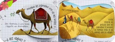 Un anniversaire bien préparé grâce aux éditions Usborne