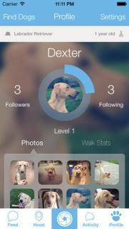 Woof, le Facebook pour chien (application iOS)