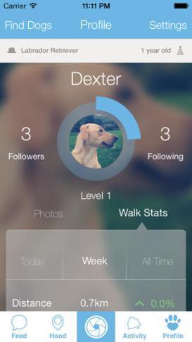 Woof, le Facebook pour chien (application iOS)