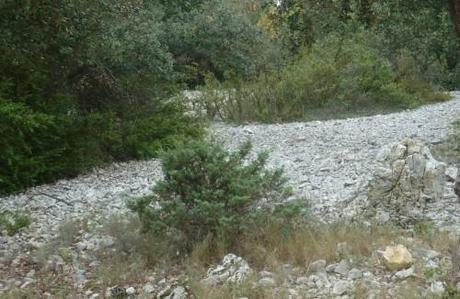 poésie,poèmes,écriture,poètes,culture,société,nature,saison