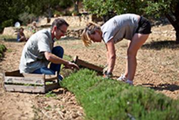 Des sirops aromatiques 100 % naturels pour inventer des apéritifs et des recettes innovants lors des repas festifs ! Cueillette 02 copie