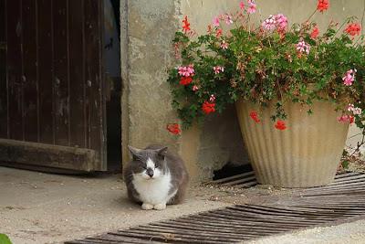 Des choses et d'autres à Laître sous Amance, et des gens aussi