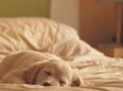 Petite pause, mais longue l’espère