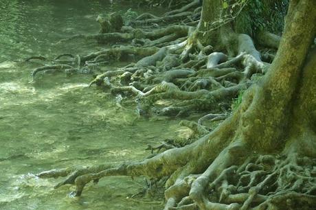 ▶▷ Petit coin de Franche-Comté : cascade des Tufs ◁◀