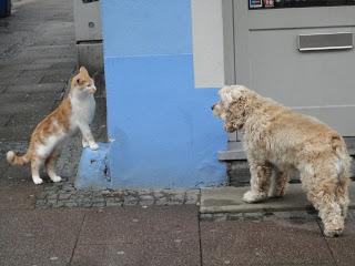 diekirch, la ville des ânes
