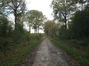 332ème sortie matinées bois