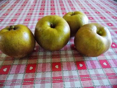 Le temps des récoltes : courges, noix, pommes