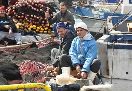 Algérie-Encourager la création de PME pour booster le secteur de la pêche (expert)