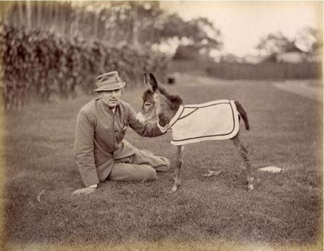 ca. 1870, [portrait of a gentleman and a baby donkey from the Shanghai Race Club & Amateur Circus]