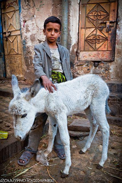 child with a small white donkey in the streets of Sana'a-  Yemen- par Anthony Pappone