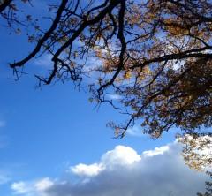 littérature; poésie; anthologie; livres