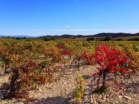 Autant se taire et aller marcher