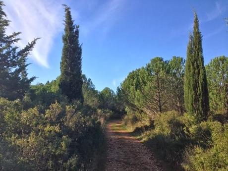 Autant se taire et aller marcher