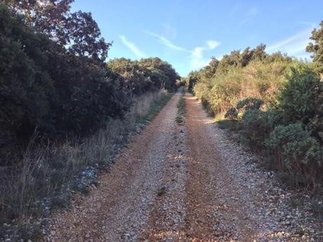 Autant se taire et aller marcher