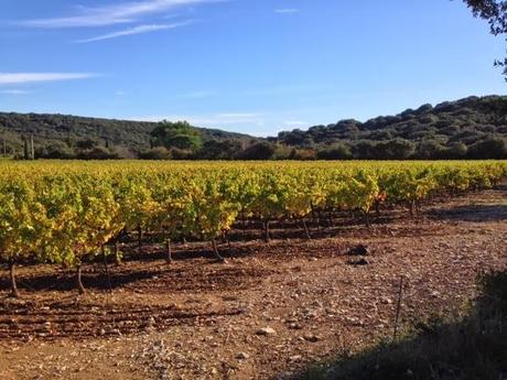 Autant se taire et aller marcher